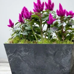 Balcony Trough Ella Black H17Cm D37Cm -Garden Central Sales Store 107823 1