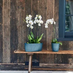 Pula Recylable Planter Sapphire H25Cm D24Cm -Garden Central Sales Store 150609 1copy