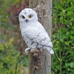 Wall Mountable Snowy Owl Bird On A Branch Garden Ornament -Garden Central Sales Store 3445 SNOW 5