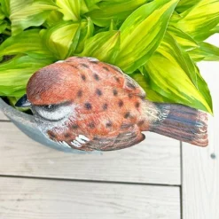 Large Sparrow Bird Garden Ornament -Garden Central Sales Store 3662L 10