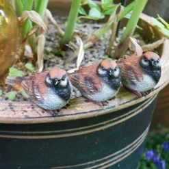 Set Of 3 Pot Topping Sparrow Bird Garden Ornaments