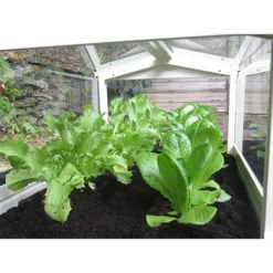 Long Cloche -Garden Central Sales Store 505352a