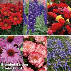 Summer Plant & Seed Bundle -Garden Central Sales Store 6 2