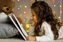 Idooka LED Christmas String Light White Multicolour 1000 1200 1500 20-30 M Outdoor Plug -Garden Central Sales Store AX8905240.Lifestyle