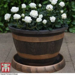 Wooden Barrel Effect Pot & Saucer -Garden Central Sales Store BARR KA8437 C