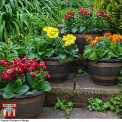 Wooden Barrel Effect Pot & Saucer -Garden Central Sales Store BARR POT A1