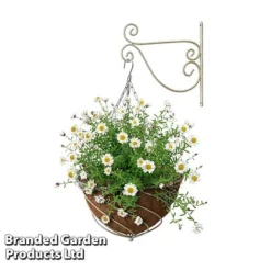 Large Hanging Basket Kits -Garden Central Sales Store BASK LARGECREA B