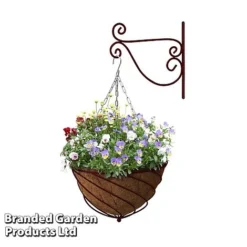 Large Hanging Basket Kits -Garden Central Sales Store BASK LARGEWINE B