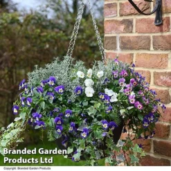 Splash Of Colour Collection