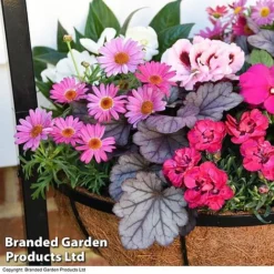 Welcome Planter -Garden Central Sales Store BASK WELCOMESI T31326
