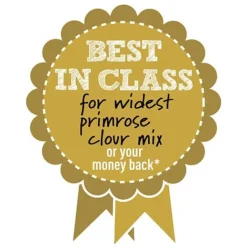 Primrose 'Alaska Improved Mixed' -Garden Central Sales Store BIC WIDESTPRIMROSEMIX B h