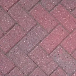 Block Blitz Eco Cleaner Block Paving 8 Block Blitz Eco Cleaner Block Paving -Garden Central Sales Store BP after