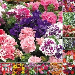 Bumper Garden Collection -Garden Central Sales Store BUMP KB3121 E3