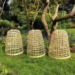 Bamboo Bell Cloche & Garden Plant Protection Cover - Medium -Garden Central Sales Store Bamboo20Cloche20pk203201000x100020942kb1