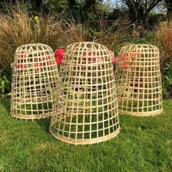 Bamboo Bell Cloche & Garden Plant Protection Cover - Small -Garden Central Sales Store Bamboo20Cloche20pk203201000x100020973kb2