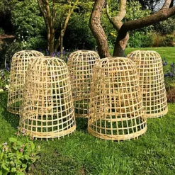 Bamboo Bell Cloche & Garden Plant Protection Cover - Large -Garden Central Sales Store Bamboo20Cloche20pk205201000x100020945kb