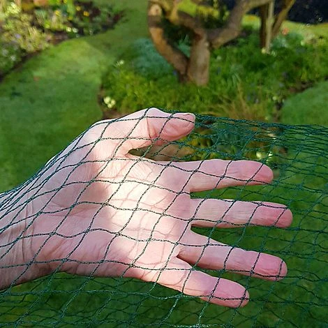 Bird Block Soft Bird Mesh Netting For Fruit Veg & Plants - 8m Wide 2 Bird Block Soft Bird Mesh Netting For Fruit Veg & Plants - 8m Wide - Image 2
