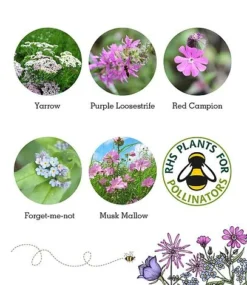 Butterfly Mix Seed Bag - 100 Balls 10 Butterfly Mix Seed Bag - 100 Balls -Garden Central Sales Store Butterfly20flower20inclusion