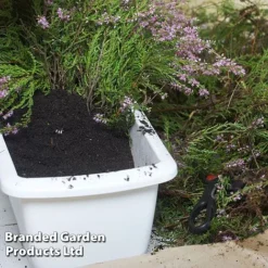 Ericaceous Compost -Garden Central Sales Store COMP ERICACEOUS L35278