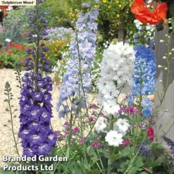 129 Bulb & Perennial Bumper Pack -Garden Central Sales Store DELPH MXED