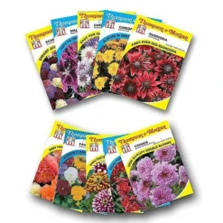 Seed Collection Tin - Gift -Garden Central Sales Store FLOW T45153P A h1
