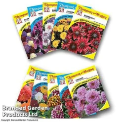 Summer Collection - Bulbs, Seeds & Compost -Garden Central Sales Store FLOW T45153P1