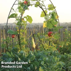 Circular Plant Growing Frame -Garden Central Sales Store FRAM LONDONEYE S41918