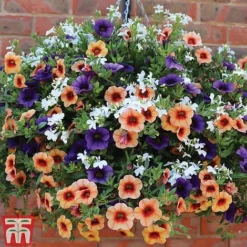 Fruit Salad Pre-Planted Basket -Garden Central Sales Store FRUI TKA1211 B1