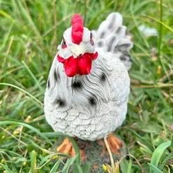 Chicken Garden Ornaments -Garden Central Sales Store FW1006S 6