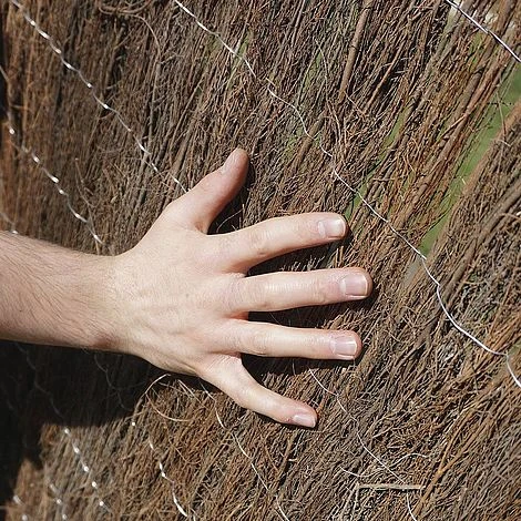 Brushwood Thatch Screen Roll - 1.5X4M(2CM DIAMETER) 6 Brushwood Thatch Screen Roll - 1.5X4M(2CM DIAMETER) - Image 6