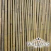 Bamboo Cane Screen Roll - 1.8X4M