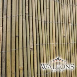 Bamboo Cane Screen Roll - 1.8X4M