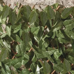Expandable Artificial Ivy Hedge Trellis -Garden Central Sales Store G1041 3 1000x1000 1