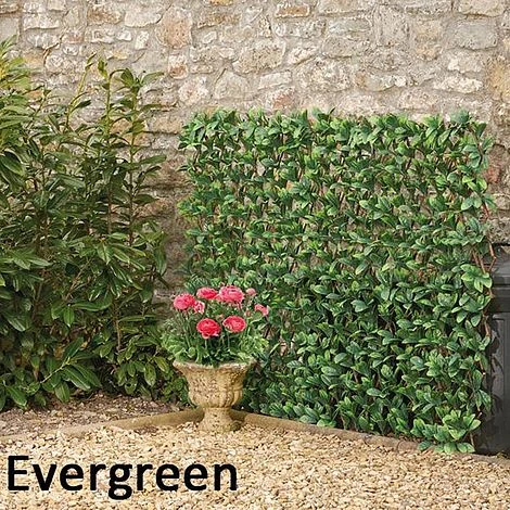 Expandable Artificial Evergreen Laurel Hedge Trellis 2 Expandable Artificial Evergreen Laurel Hedge Trellis - Image 2