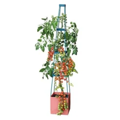 Garden Grow Self Watering Tomato Tower -Garden Central Sales Store G2202 4 Tier Self Watering Tomato Tower CO with toms 2000x2000 1
