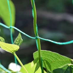 Garden Gear Pea & Bean Tunnel 1.8 X 1.8m -Garden Central Sales Store G4460 PEATUNNEL 3
