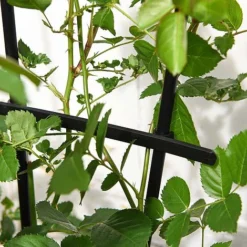 Garden Gear 1.2-Metre Fan Trellis -Garden Central Sales Store G447320TREL FANGARDEN203202000x2000