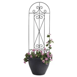 Garden Gear 1.2M Metal Plant Support - Swirl -Garden Central Sales Store G4544204202000x2000