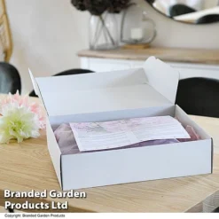 Dahlia 'Linda's Baby' Collection -Garden Central Sales Store GIFT DAHLIABOX T487571