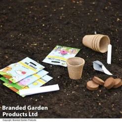 Mr Men Seed Grow Flower Kit -Garden Central Sales Store GKIT LITTLEMIS T49095