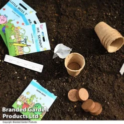 Mr Men Seed Grow Vegetable Kit -Garden Central Sales Store GKIT MRMEN T49099