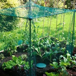 Build-a-Cage Modular Fruit & Vegetable Cage Kit - 1.25m High With Bird Mesh -Garden Central Sales Store GLD 1.25PIC2 1