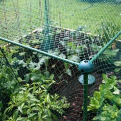 Build-a-Cage Modular Fruit & Vegetable Cage Kit - 1.25m High With Butterfly Mesh -Garden Central Sales Store GLD 1.25PIC4