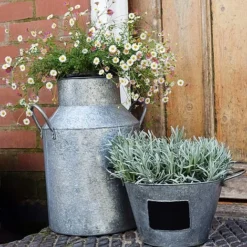 Galvanised Milk Churn H42cm -Garden Central Sales Store GMC42 2