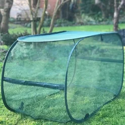 Pop Up Protection Cover For Grow Bags -Garden Central Sales Store GPN100 10PIC1
