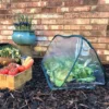 Pop Up Mini Greenhouse & Polytunnel Cloche