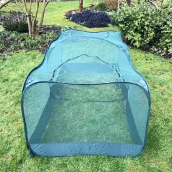 Giant Pop Up Fruit Cage & Plant Protection Cover -Garden Central Sales Store GPN100 50PIC1