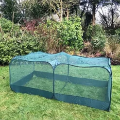 Giant Pop Up Fruit Cage & Plant Protection Cover -Garden Central Sales Store GPN100 50PIC4