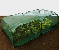 Giant Pop Up Fruit Cage & Plant Protection Cover -Garden Central Sales Store GPN100 50PIC6