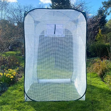 Pop-Up Poly Greenhouse Plant Cover – 1.25x1.25x1.85m H 4 Pop-Up Poly Greenhouse Plant Cover – 1.25x1.25x1.85m H - Image 4